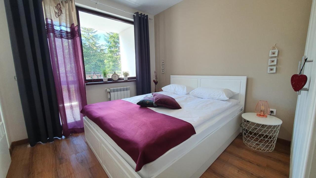 Borovets Holiday Homes מראה חיצוני תמונה