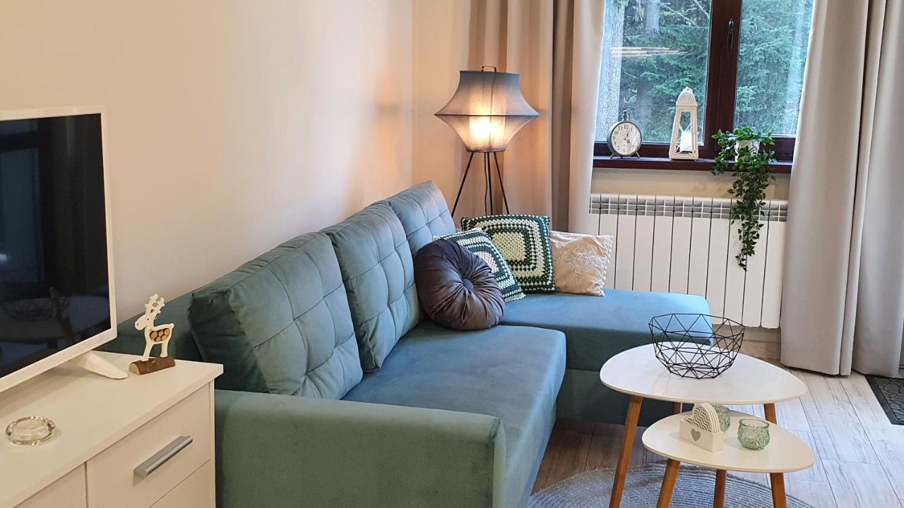Borovets Holiday Homes מראה חיצוני תמונה