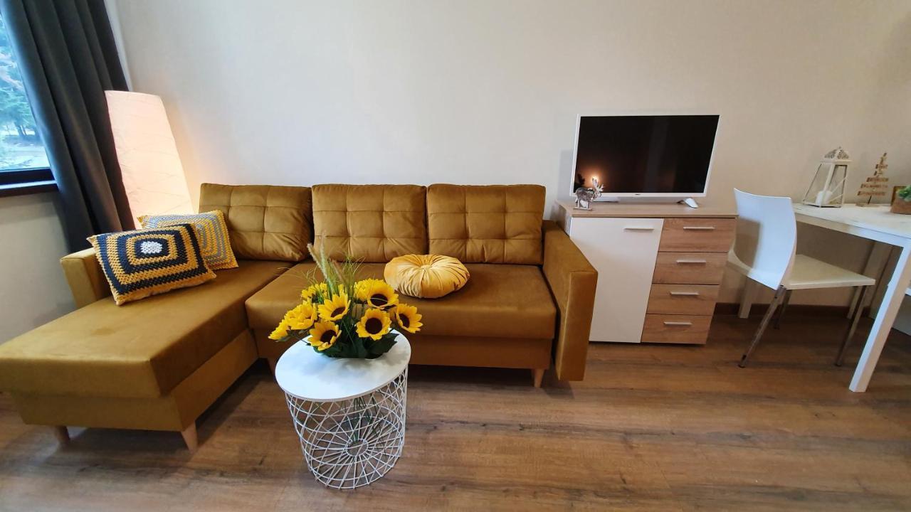 Borovets Holiday Homes מראה חיצוני תמונה