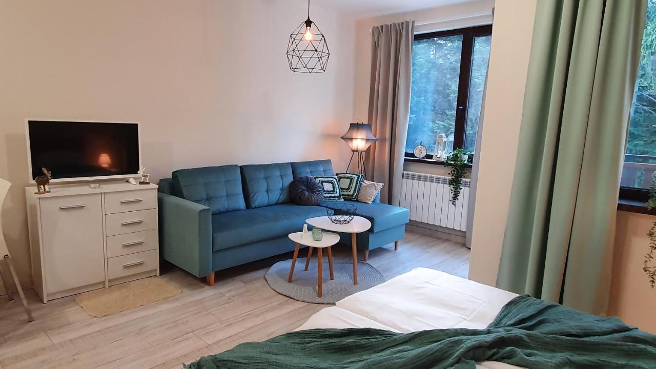 Borovets Holiday Homes מראה חיצוני תמונה