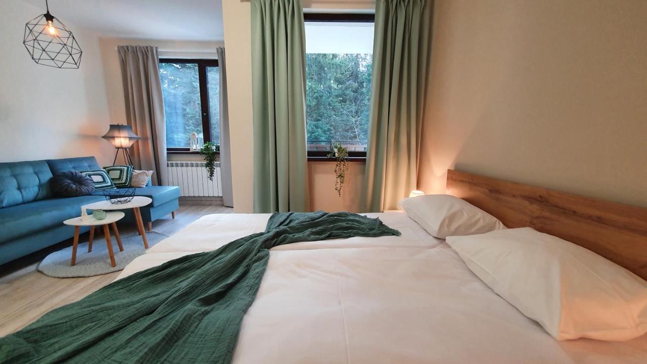 Borovets Holiday Homes מראה חיצוני תמונה